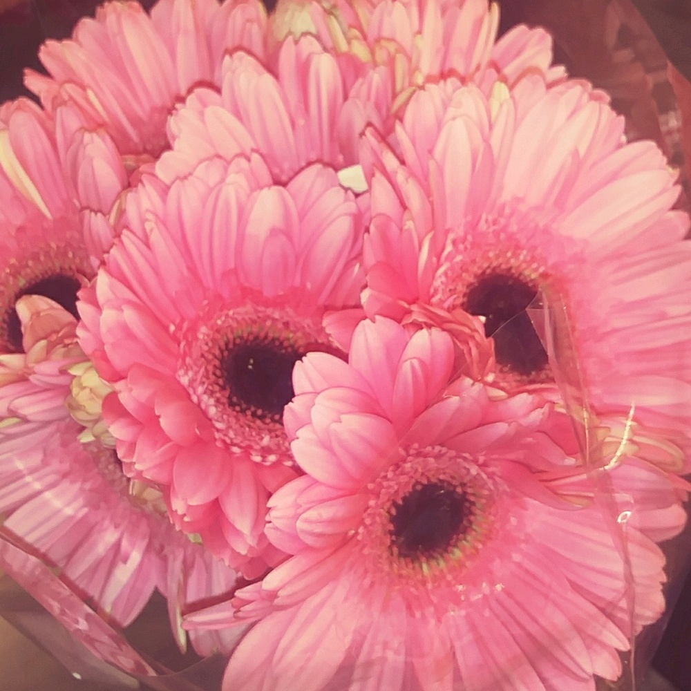 Meet your Posher, Rubi